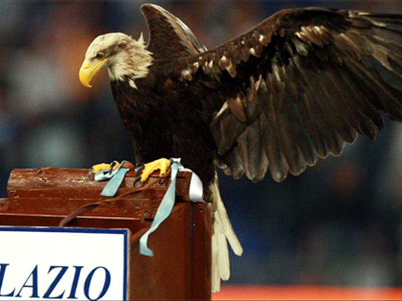 Stop alla votazione! L'Aquila della Lazio finalmente HA UN ...