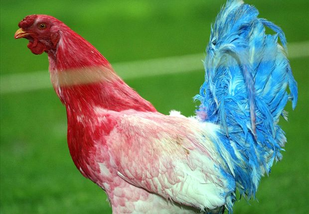 What Is The National Bird Of France